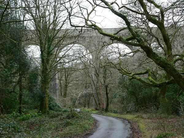 Treffry Viaduct and Aquaduct