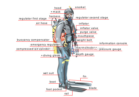 Scuba diving equipment - assembled on a diver