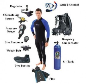 Scuba diving equipment - cut away from a diver