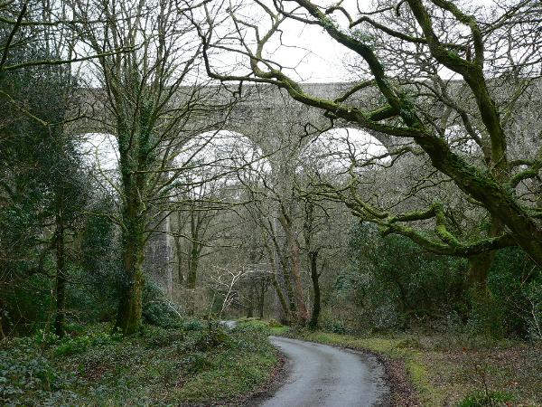 Treffry Viaduct and Aquaduct Treffry Viaduct and Aquaduct
