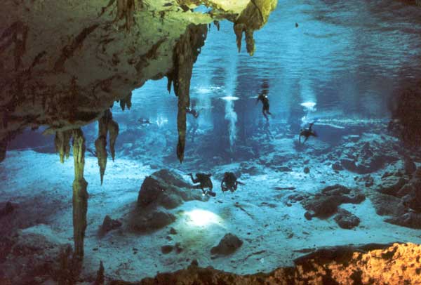 Diving in Cozumel Diving in Cozumel