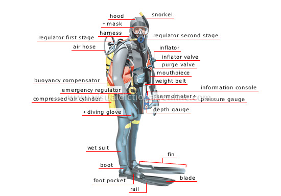 Scuba diving equipment - assembled on a diver Scuba diving equipment - assembled on a diver